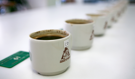 Más de 1.100 lotes de café inscritos en 6° concurso “Colombia, Tierra de Diversidad”