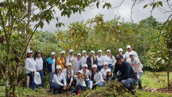 Colaboradores del Comité de Cafeteros del Quindío participan en voluntariado de siembra de árboles